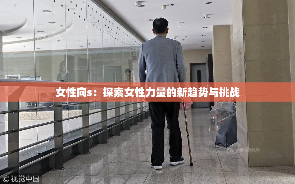 女性向s：探索女性力量的新趋势与挑战