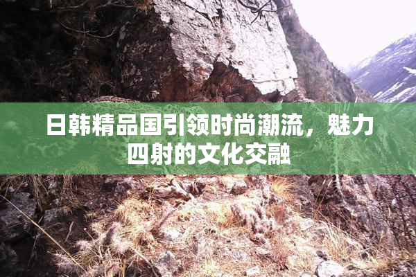 日韩精品国引领时尚潮流，魅力四射的文化交融