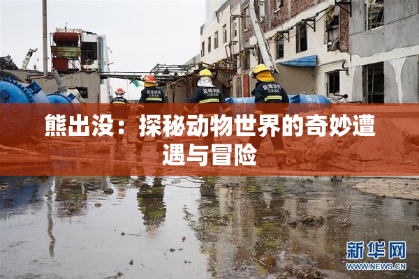 熊出没：探秘动物世界的奇妙遭遇与冒险