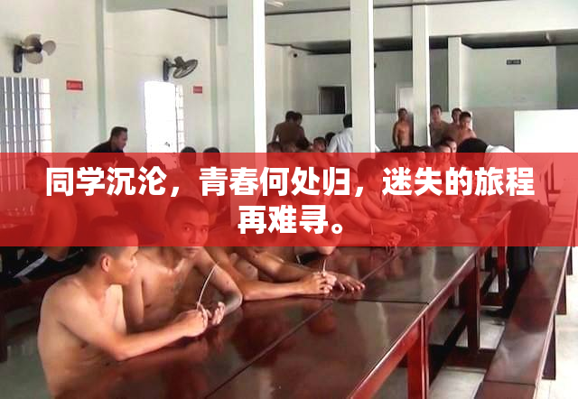 同学沉沦，青春何处归，迷失的旅程再难寻。
