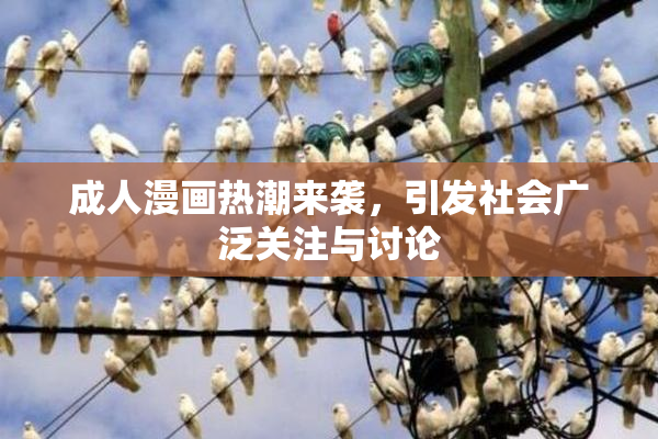 成人漫画热潮来袭，引发社会广泛关注与讨论