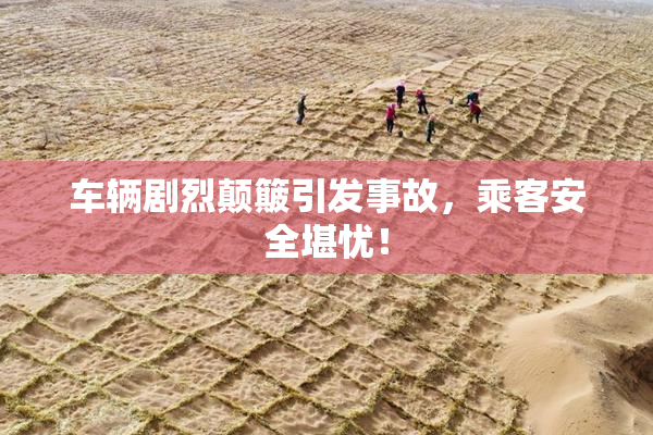 车辆剧烈颠簸引发事故，乘客安全堪忧！