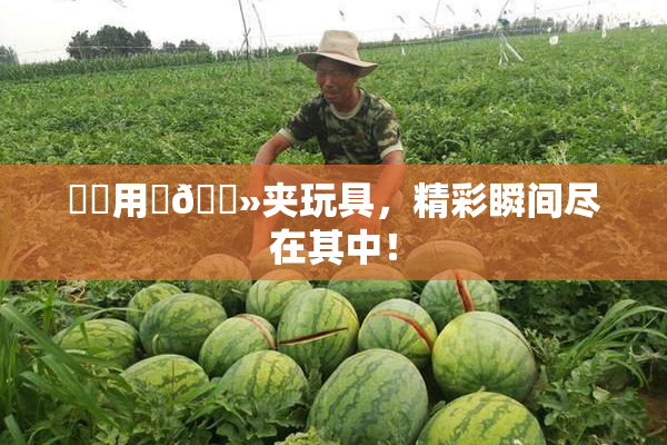 妺妺用‌🐻夹玩具，精彩瞬间尽在其中！