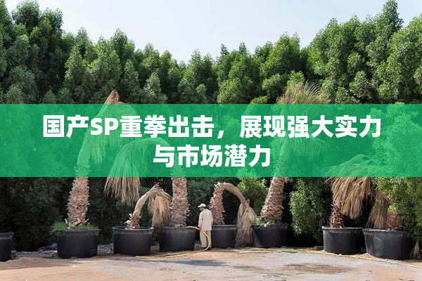 国产SP重拳出击，展现强大实力与市场潜力