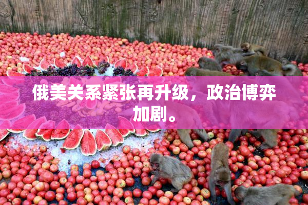 俄美关系紧张再升级，政治博弈加剧。