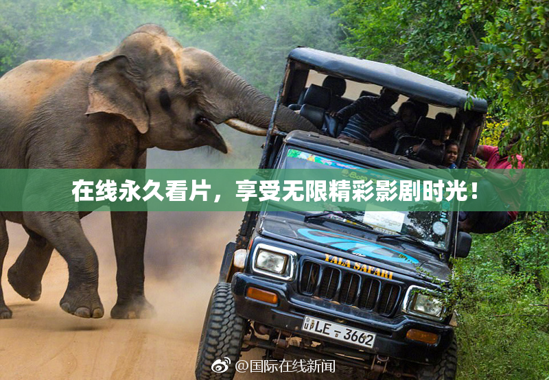 在线永久看片，享受无限精彩影剧时光！