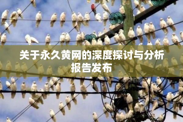 关于永久黄网的深度探讨与分析报告发布