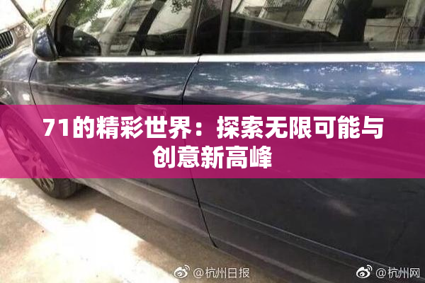 71的精彩世界：探索无限可能与创意新高峰