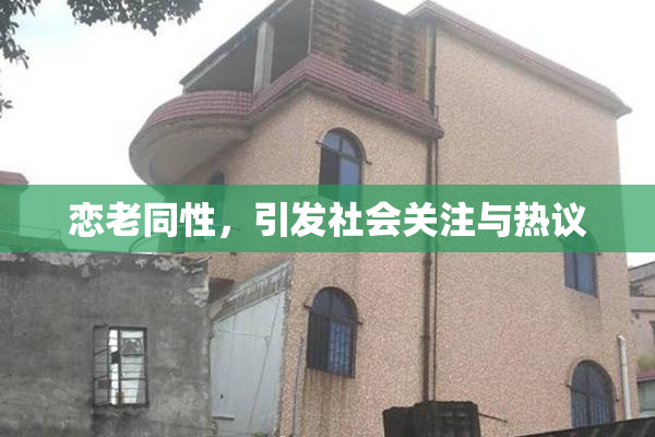 恋老同性，引发社会关注与热议