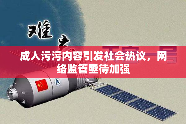 成人污污内容引发社会热议，网络监管亟待加强
