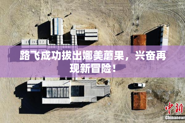 路飞成功拔出娜美蘑果，兴奋再现新冒险！