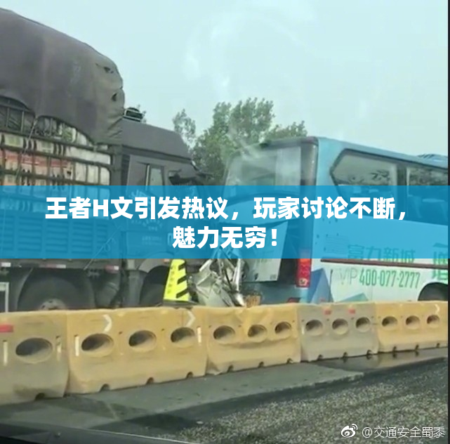 王者H文引发热议，玩家讨论不断，魅力无穷！