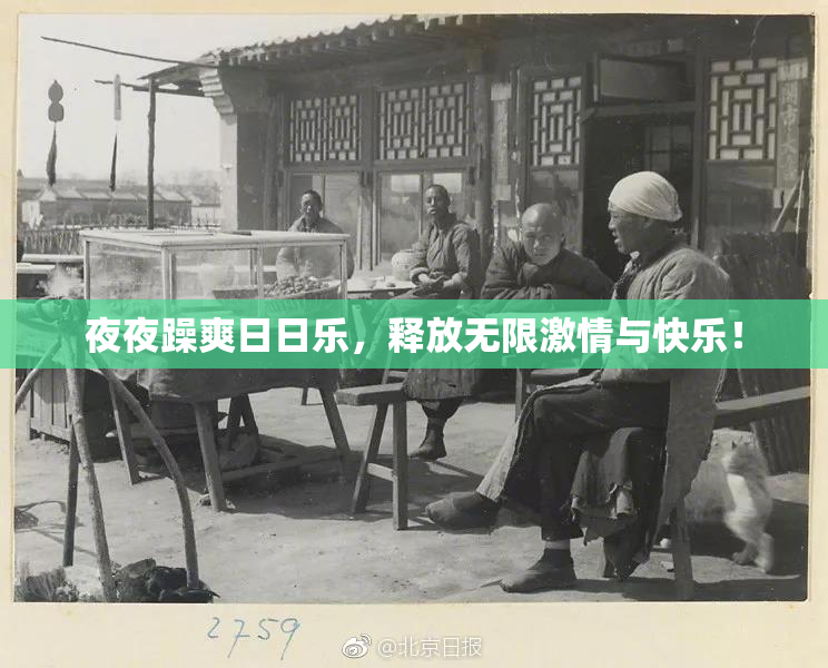 夜夜躁爽日日乐，释放无限激情与快乐！