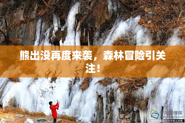 熊出没再度来袭，森林冒险引关注！