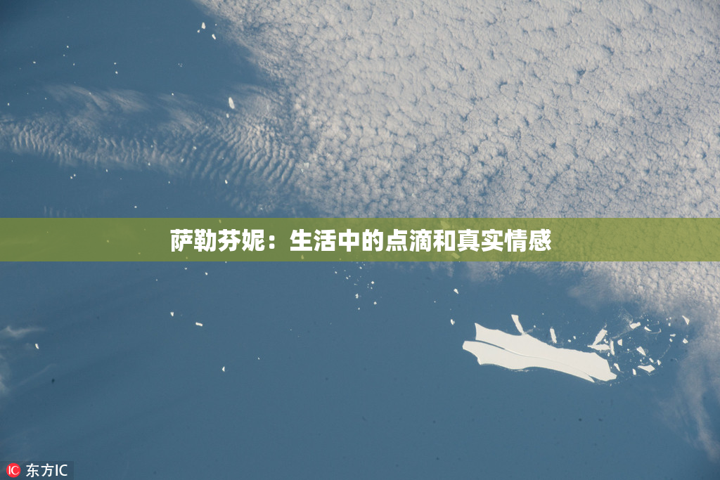 萨勒芬妮：生活中的点滴和真实情感
