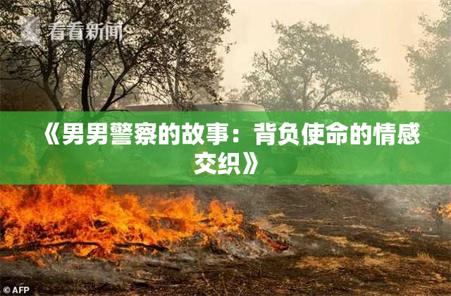 《男男警察的故事：背负使命的情感交织》