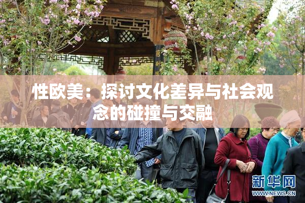 性欧美：探讨文化差异与社会观念的碰撞与交融