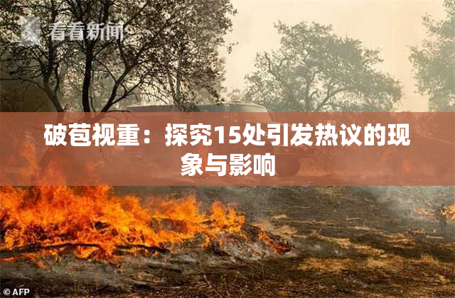 破苞视重：探究15处引发热议的现象与影响