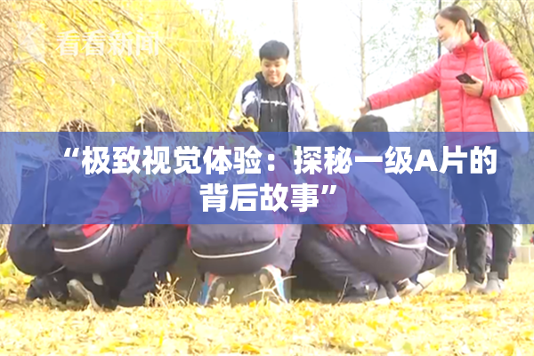 “极致视觉体验：探秘一级A片的背后故事”