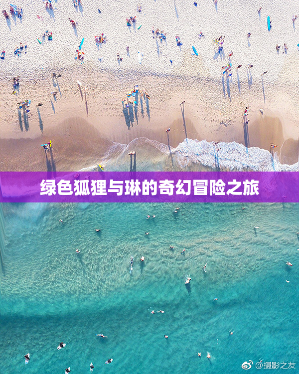 绿色狐狸与琳的奇幻冒险之旅
