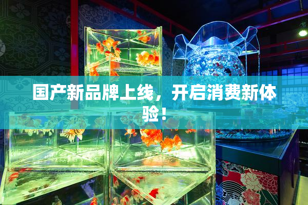 国产新品牌上线，开启消费新体验！