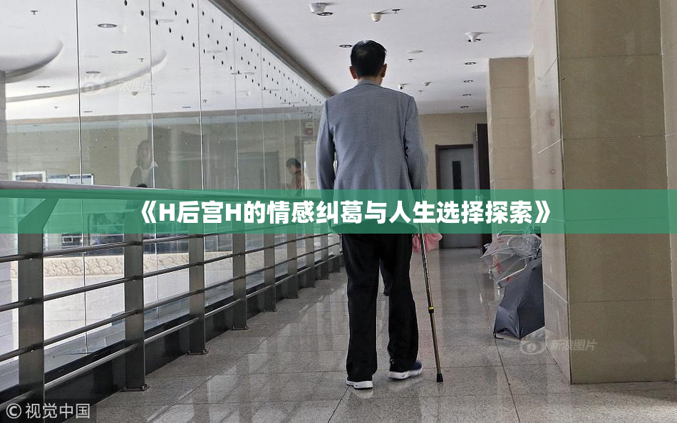 《H后宫H的情感纠葛与人生选择探索》