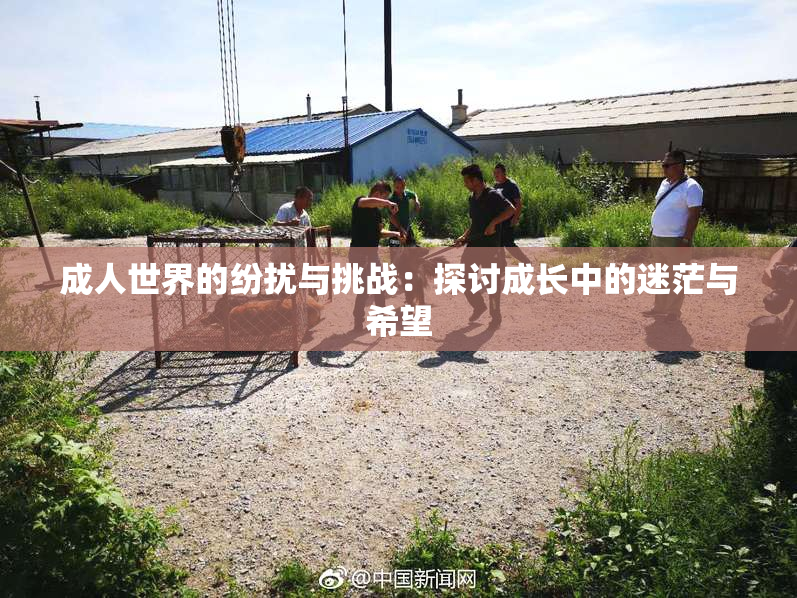 成人世界的纷扰与挑战：探讨成长中的迷茫与希望