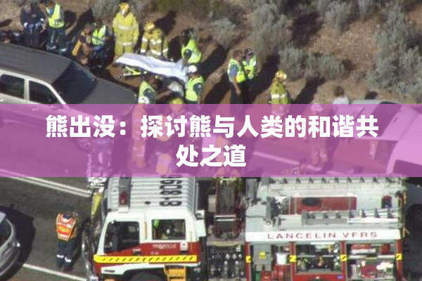 熊出没：探讨熊与人类的和谐共处之道