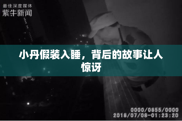 小丹假装入睡，背后的故事让人惊讶