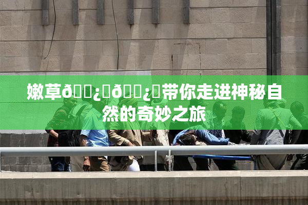 嫩草🌿‌🌿‌带你走进神秘自然的奇妙之旅