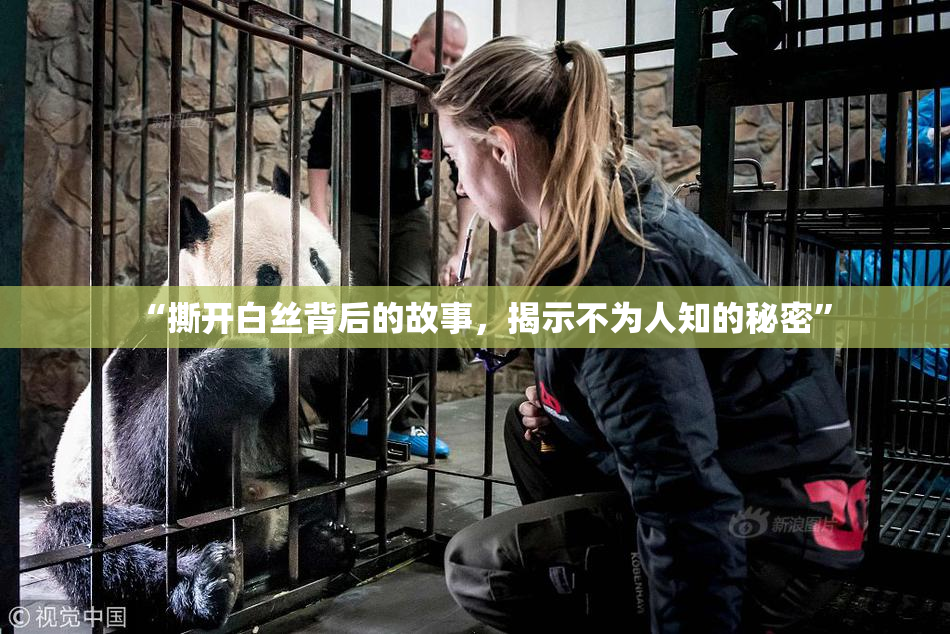 “撕开白丝背后的故事，揭示不为人知的秘密”