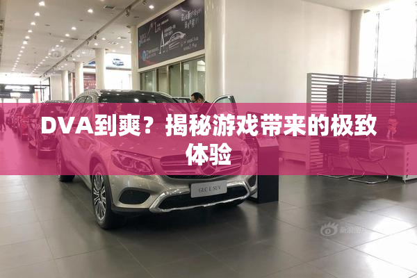 DVA到爽？揭秘游戏带来的极致体验