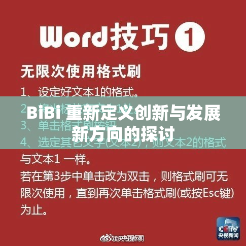 BiBi 重新定义创新与发展新方向的探讨