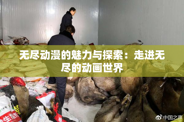 无尽动漫的魅力与探索：走进无尽的动画世界