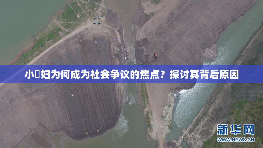 小婬妇为何成为社会争议的焦点？探讨其背后原因