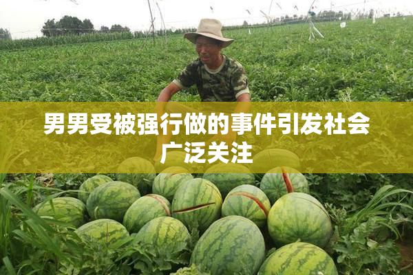 男男受被强行做的事件引发社会广泛关注
