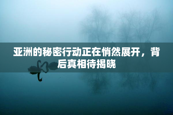 亚洲的秘密行动正在悄然展开，背后真相待揭晓