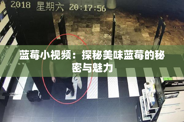 蓝莓小视频：探秘美味蓝莓的秘密与魅力