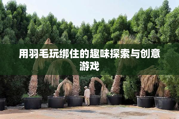 用羽毛玩绑住的趣味探索与创意游戏