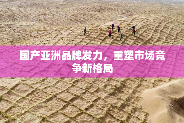 国产亚洲品牌发力，重塑市场竞争新格局