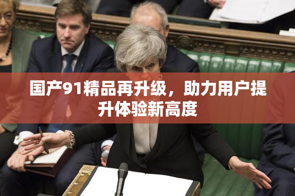 国产91精品再升级，助力用户提升体验新高度
