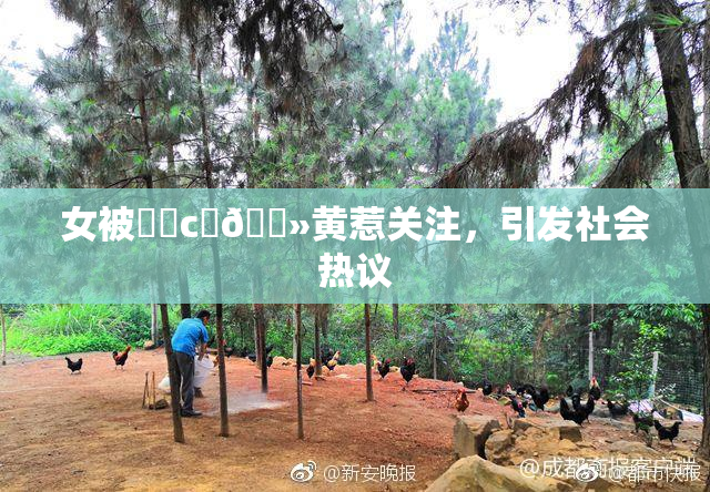 女被❌‌c‌🐻黄惹关注，引发社会热议