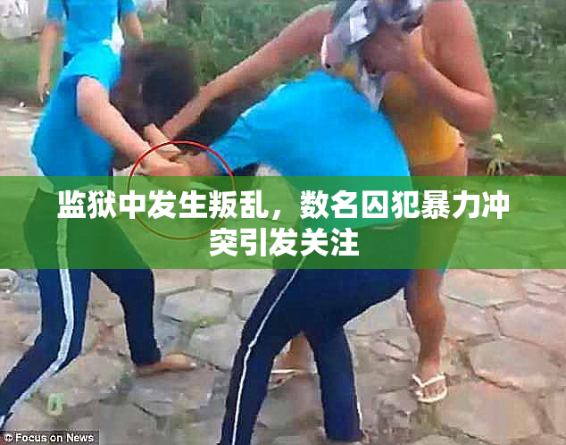 监狱中发生叛乱，数名囚犯暴力冲突引发关注