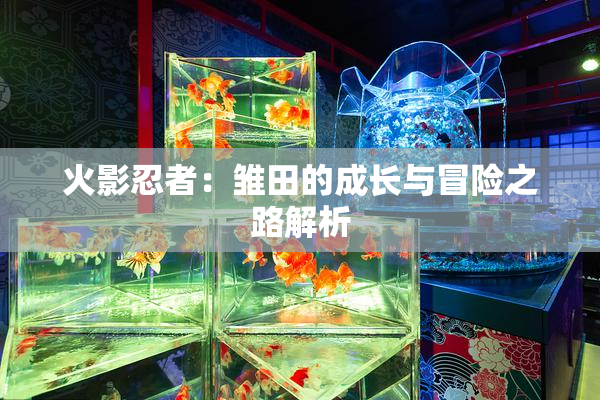 火影忍者：雏田的成长与冒险之路解析