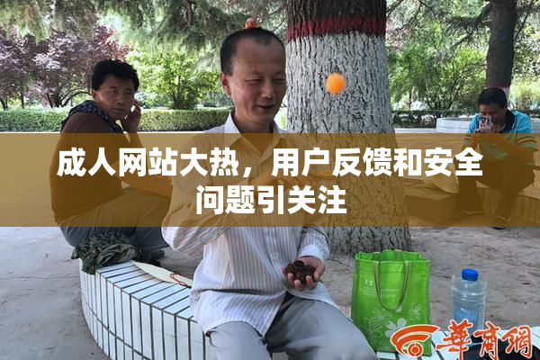 成人网站大热，用户反馈和安全问题引关注