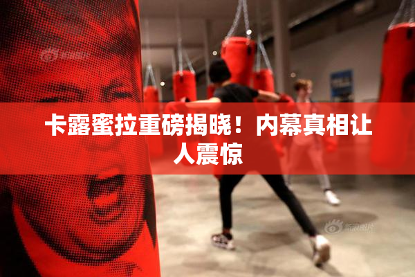 卡露蜜拉重磅揭晓！内幕真相让人震惊