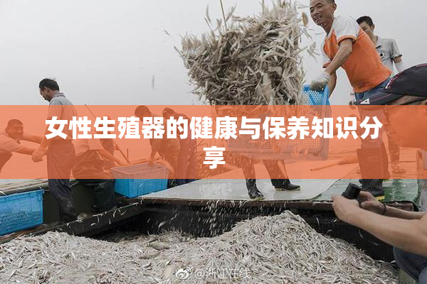 女性生殖器的健康与保养知识分享