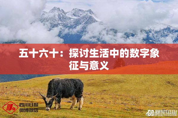 五十六十：探讨生活中的数字象征与意义