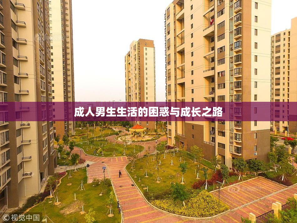 成人男生生活的困惑与成长之路