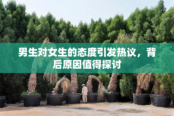男生对女生的态度引发热议，背后原因值得探讨